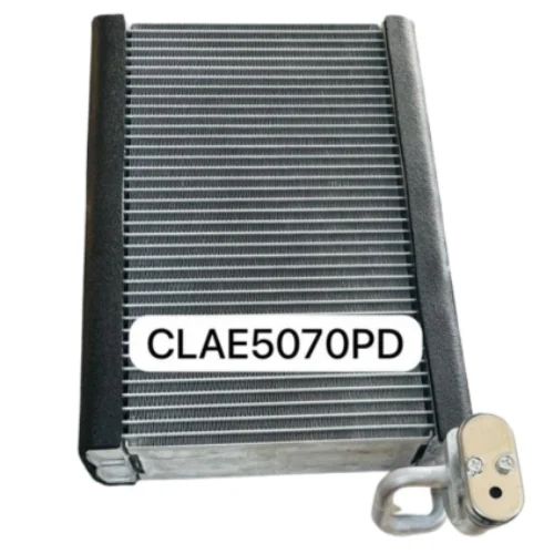 Dodge Durango Evaporator 2011-2019